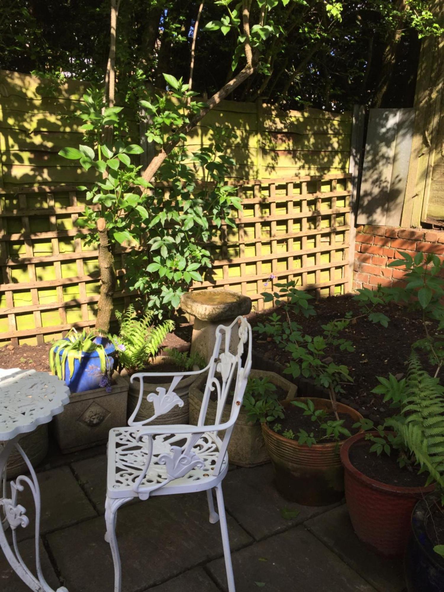 Shenstone Lowri Cottage Hotel מראה חיצוני תמונה